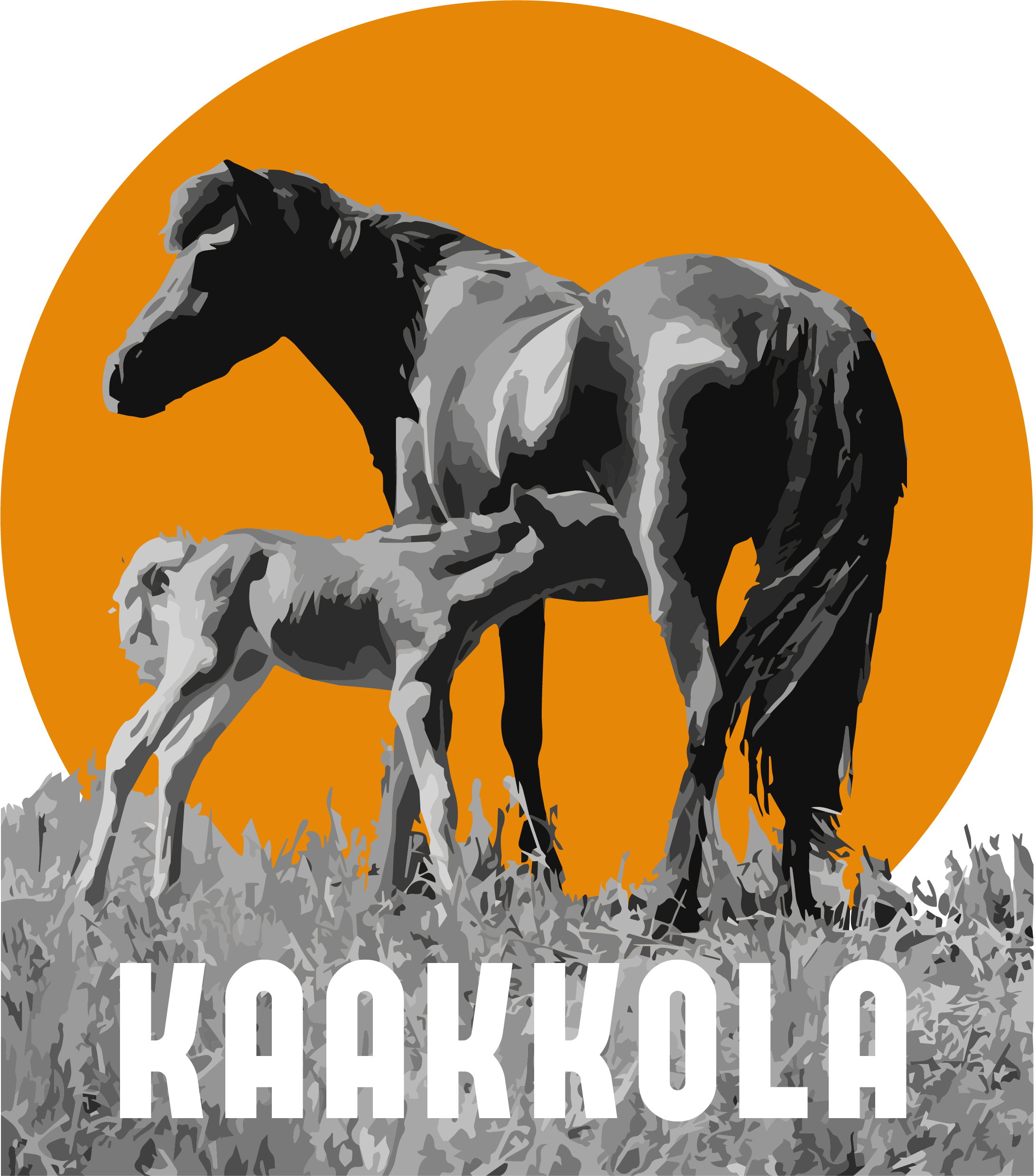 Kaakkolan tila – tilan oma kuva